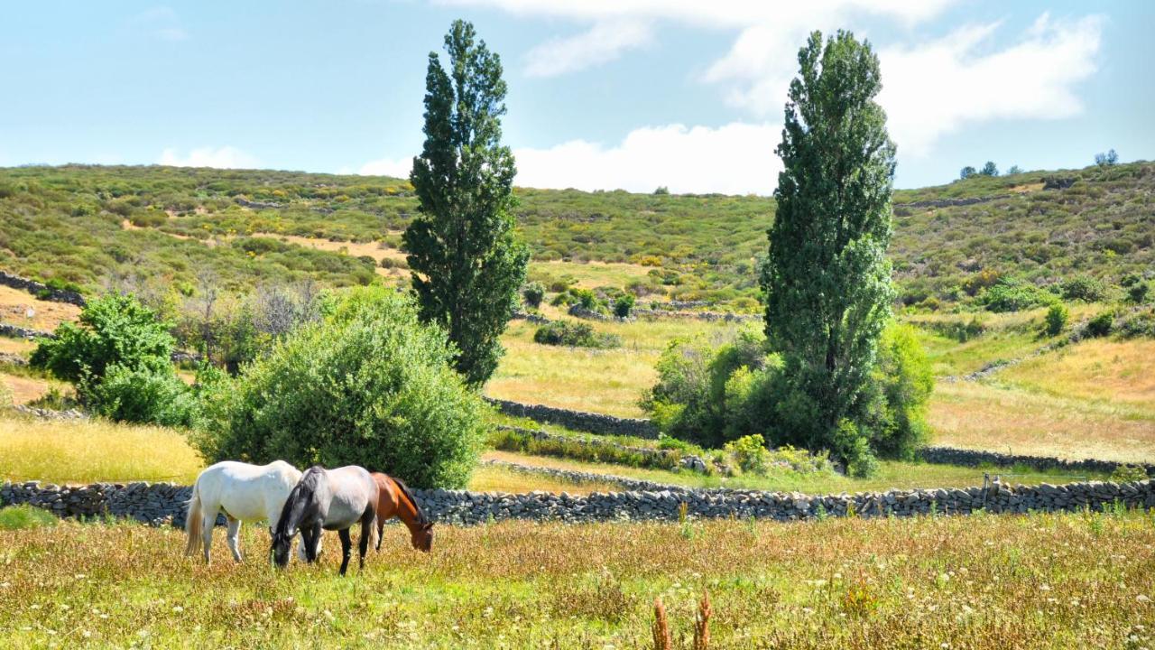 Hotel Casa Rural Spa La Villa Ávila Dış mekan fotoğraf